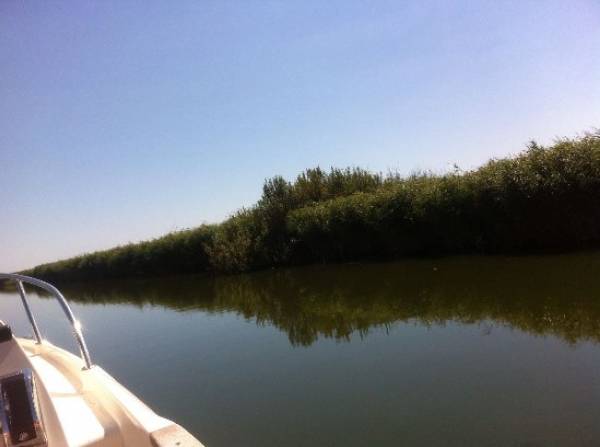 Restaurant LA TAUC, Babadag