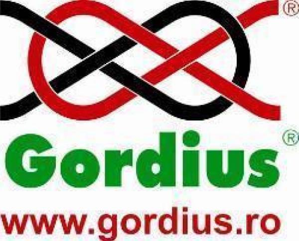 Romlink Invest SRL - Gordius, Delniţa