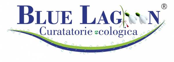 Blue Lagoon Clean, Bucureşti