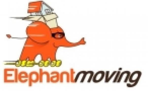 Elephant Moving, Focşani