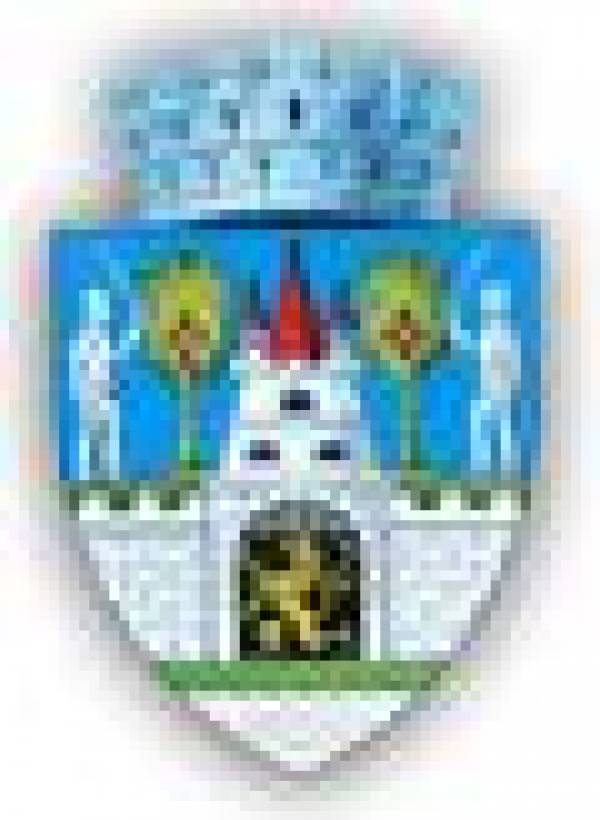 Primăria Vetiş, Vetiş