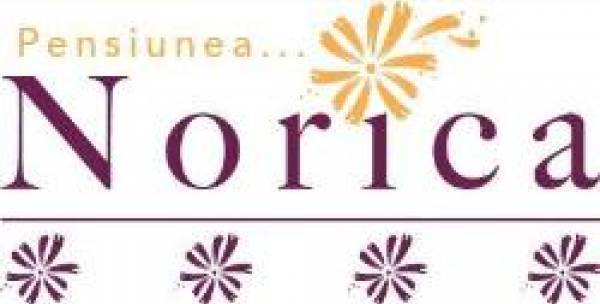 Pensiunea Norica, Gura Râului