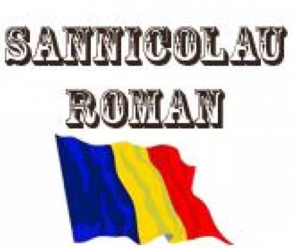 Primaria Comunei Sannicolau Roman, Sânnicolau Român