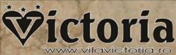 Vila Victoria, Predeal