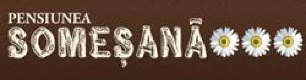 Pensiunea Somesana, Șanţ