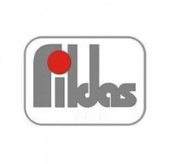 Fildas '95, Câmpina