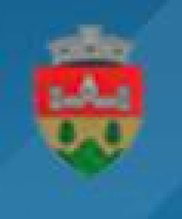 Primaria Mihaileni, Mihăileni