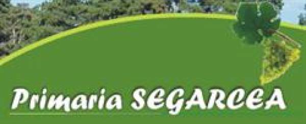 Primaria Orasului Segarcea, Segarcea